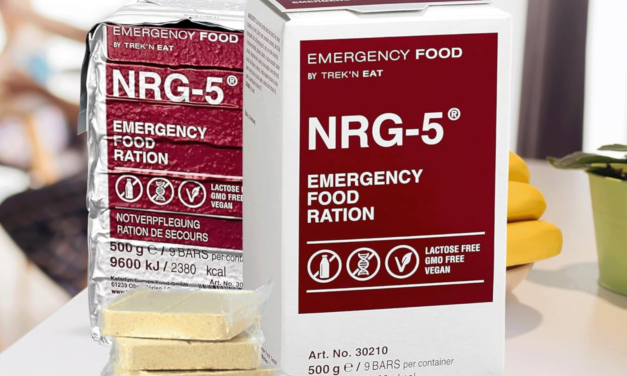 NRG-5 Emergency Food Ration Pack 