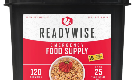 Best Emergency Food Kits of 2025: Long Shelf Life & High Nutrition