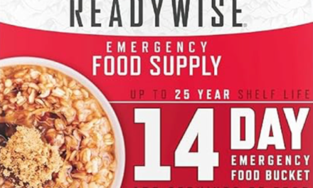 ReadyWise 14 Day Emergency Food Bucket Review
