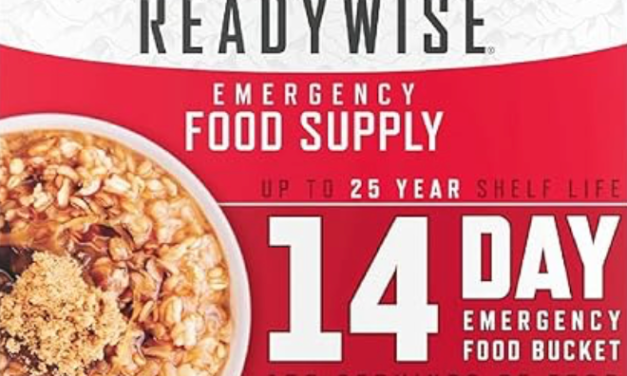 ReadyWise 14 Day Emergency Food Bucket Review